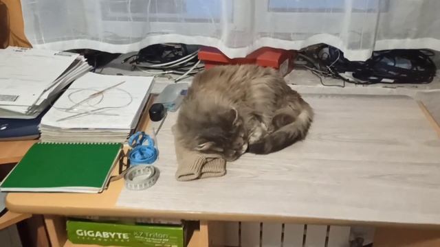 ВЛОГ. Зачем варить пряжу? Снимаю последний раз!