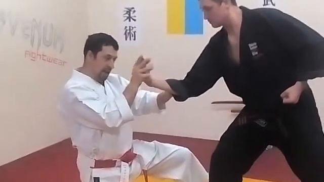 Бушинкан джиу джитсу- февраль 2015-1часть