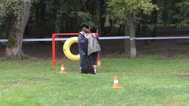 Чемпионат НКП 