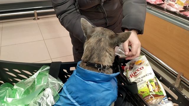 Ab608c47391992aa32f8ddfb3c4a929b