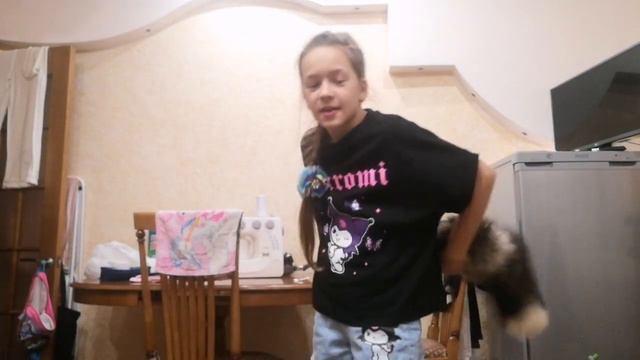 Вещи которые нужны начинающим квадробером. #квадробика #кошки