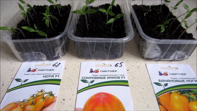 Bda96cd87fb83827e67bc059b65f86a7