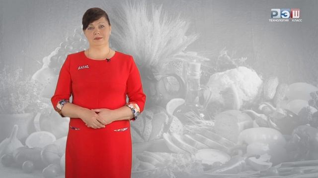 Организация рационального питания и пищевые продукты 5 класс