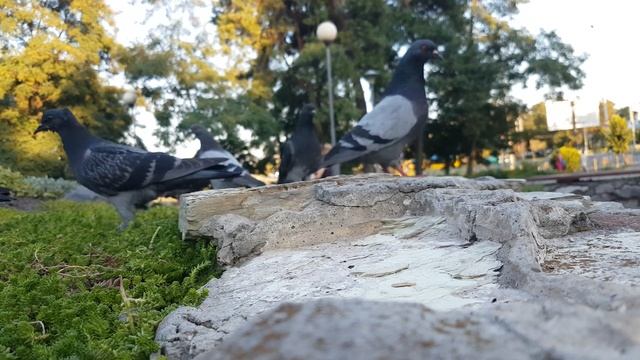 Дорога в детство