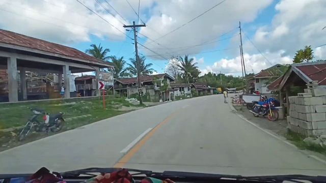 Остров Негрос - сахарный тростник и коровосвин / Огромные папоротники и лопухи / Настоящие Филиппин