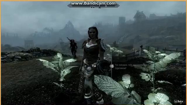 Играем в Skyrim . Вайтран!