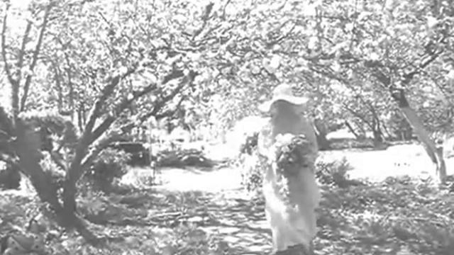 6a4d6763982768d2645461584f423dee