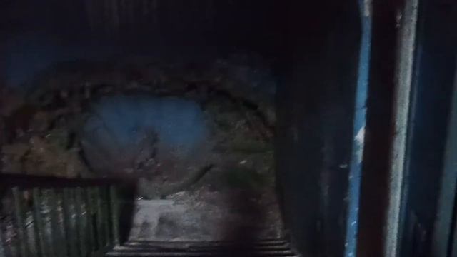 По дороге за хлебушком!