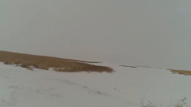 442bbf323d07ad62722525b444683010