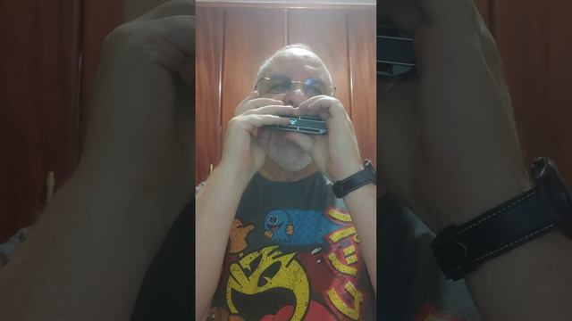 Adagio, Tomaso Albinoni, Gaita Cromática Forerunner 48