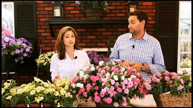 38e606895350c5875e6a4022841b093e