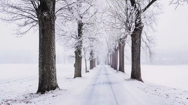 winter relax: Вьюга метель в лесу: Лечебная музыка природы: nature music