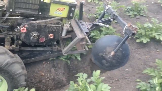 Первое окучивание дисковыми окучниками передняя навеска 2018г