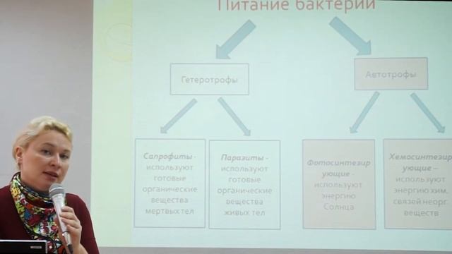 Надцарство доядерные организмы. А.Ф. Щербатова