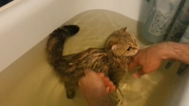 C451561b62010f592d5d23375150a757