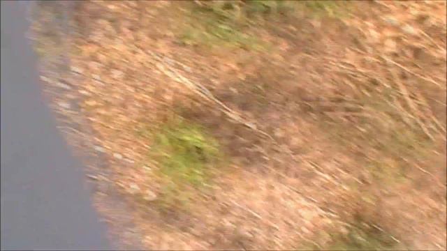 WL Toys V911. Piloto Arnau Pont