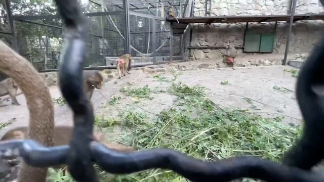 Татьяна Алексагина теперь блогер-МИЛЛИОННИК! Ура!