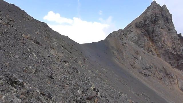 Суткевич Дмитрий, 