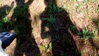 4d2004964488311c78bbf68acf1ae659