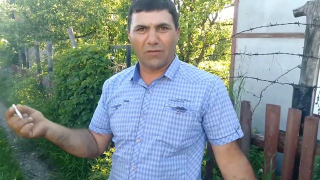 Приколы.