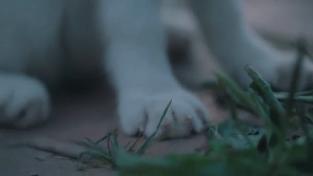 57db588f2c7f066297cd4b0629fe9cb7