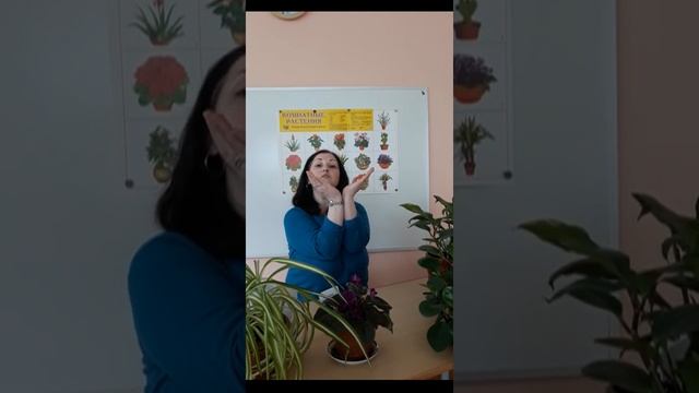 Пальчиковая гимнастика 
