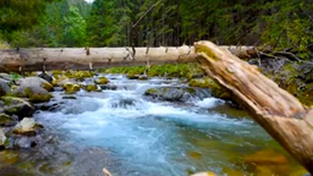 Самый необыкновенный шум реки слушать онлайн ASMR