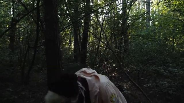 ОХОТА НА СИРЕНОГОЛОВЫЙ В ЧЕРНОБЫЛЕ! ОН СКРЫВАЕТСЯ В ЛЕСУ! ГИГАНТСКИЙ SCP ПОПАЛСЯ НА КАМЕРУ!