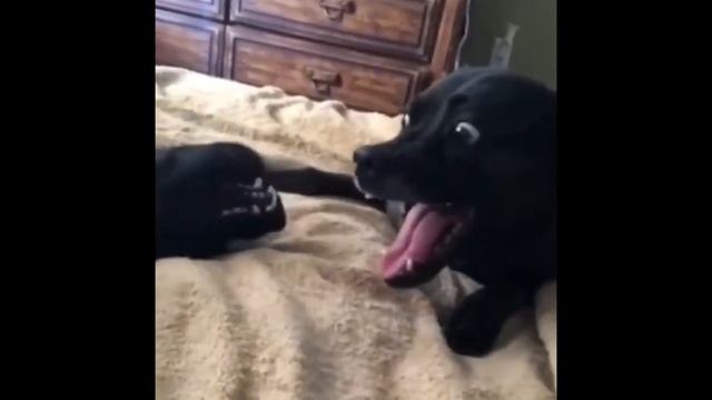 C75e5005ac8cdb740b0ad1c8acb6167a