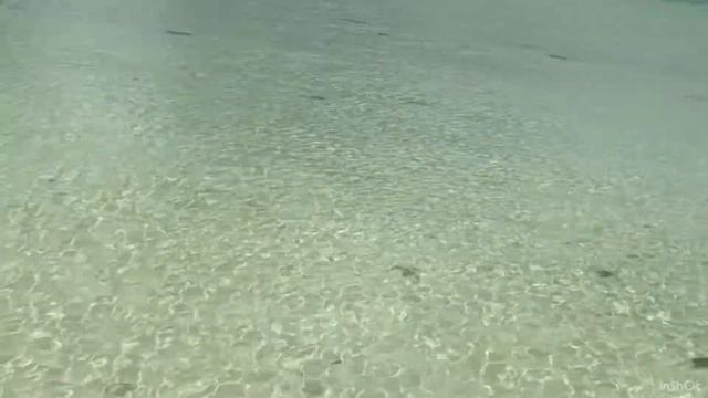 Остров Страсти Карибы 2020 Карибское море Козумел Мексика Passion Island Caribbean Sea