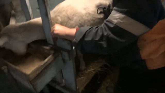 Если можно прикормить кота вкусненьким,то также действует и на любого мужика,на 100 процентов.