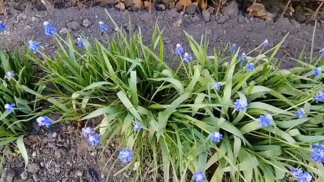 Украсить дом в конце весны.Это просто