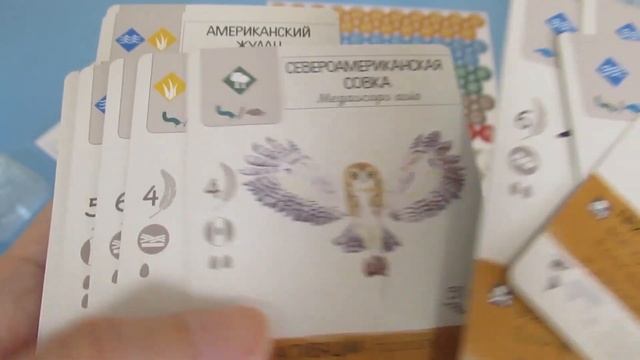 Крылья + дополнение Птицы Европы: Распаковка настольной игры