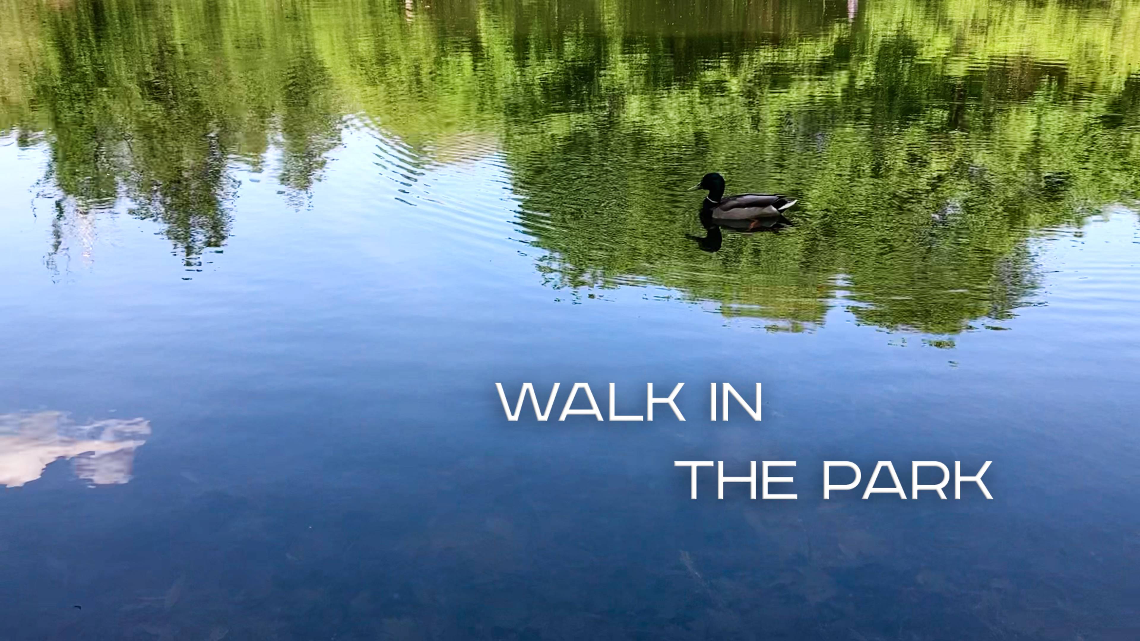 Walk In The Park. Прогулка по Красногорскому парку