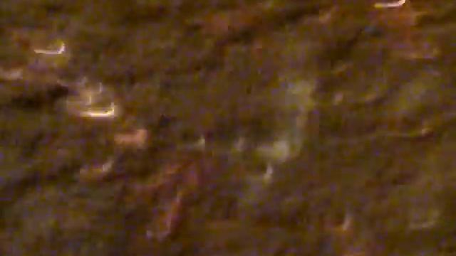 41a7917e9d51e93d8956d84019d2db7b