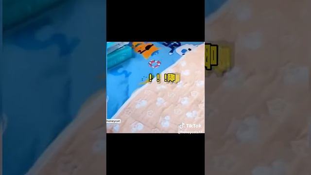 7f4691ea1652a5005ad1cd635a9c9834