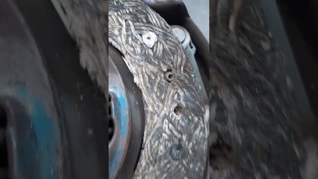 Субарюшкин рай: духовное развитие