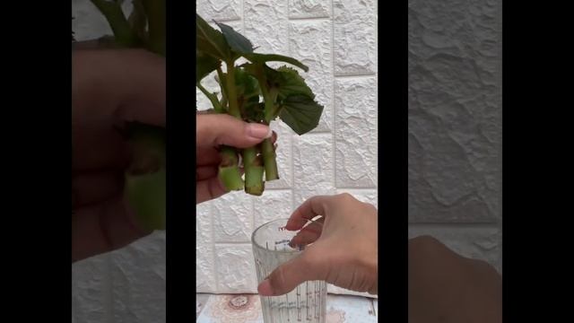 Ba7aabe6192258b778cab4183cc769a6