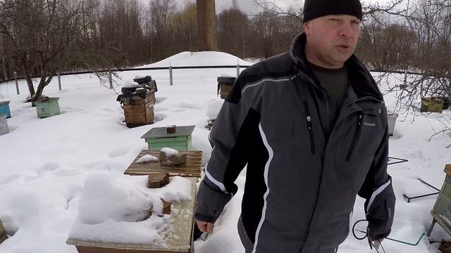 Зимовка пчел на улице 2017!  Ревизия пасеки