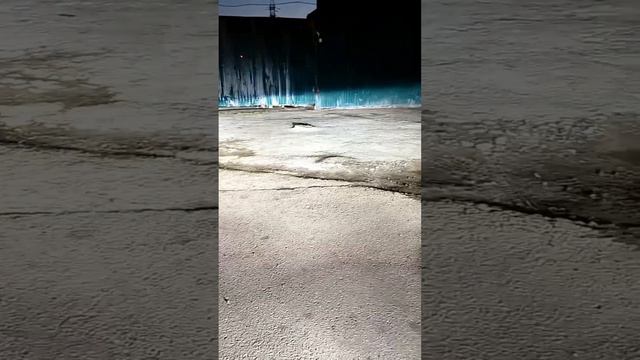 LED Лампы.Любых цоколей и даже замена ксеноновых ламп