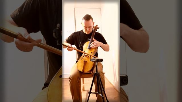 Viola Quinton (vielle)