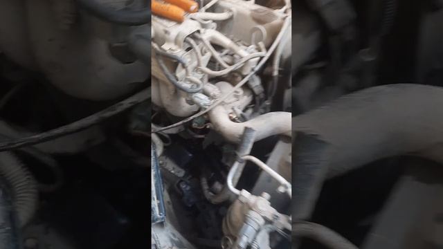 Судзуки-автомания     