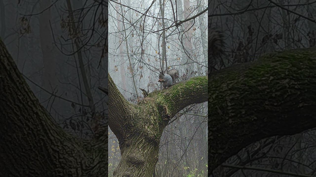 6840c66890d58ce71b659919dceebfd2