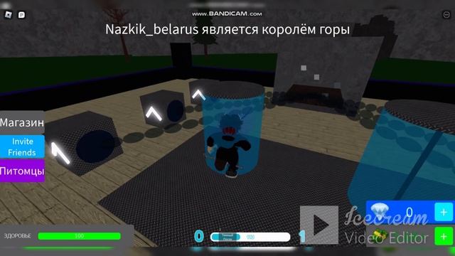Игровые Лабиринты