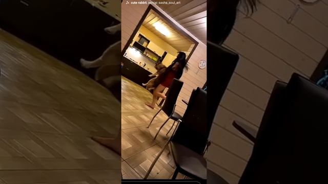 Jasmin Trans And Nigina Maya Raqsi Oxirigacha Qoring Songi Jida Qiziq?