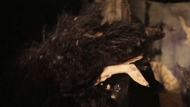 1ba74acaf3192f711a4aa8c57dcf5721