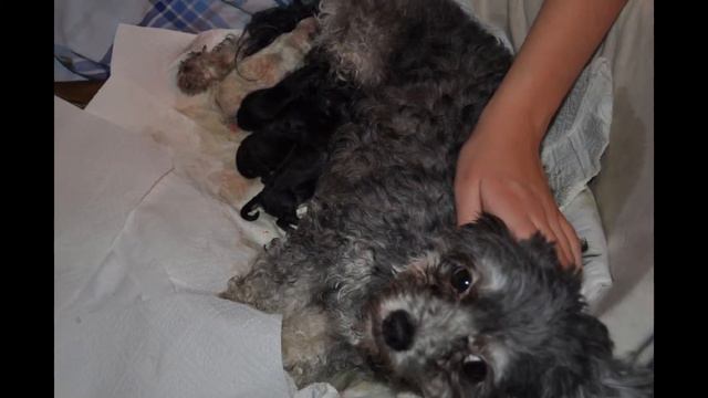 Zur Erinnerung An Bonny Teil 2
