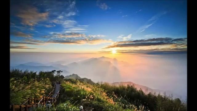 « Летаргический сон » Луна дала ответ 56 часть