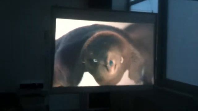 Проекционный экран