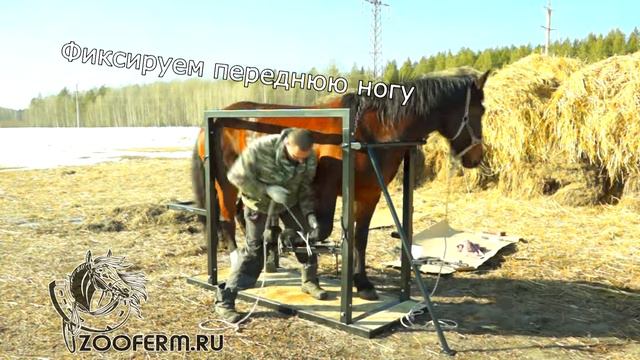 60955c12d555eef4c1a25340e0635a2b